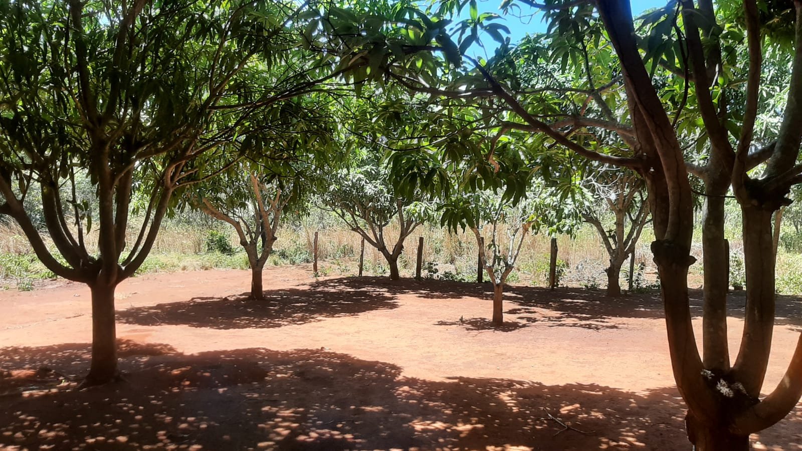 FAZENDA 109 ALQUEIRES 