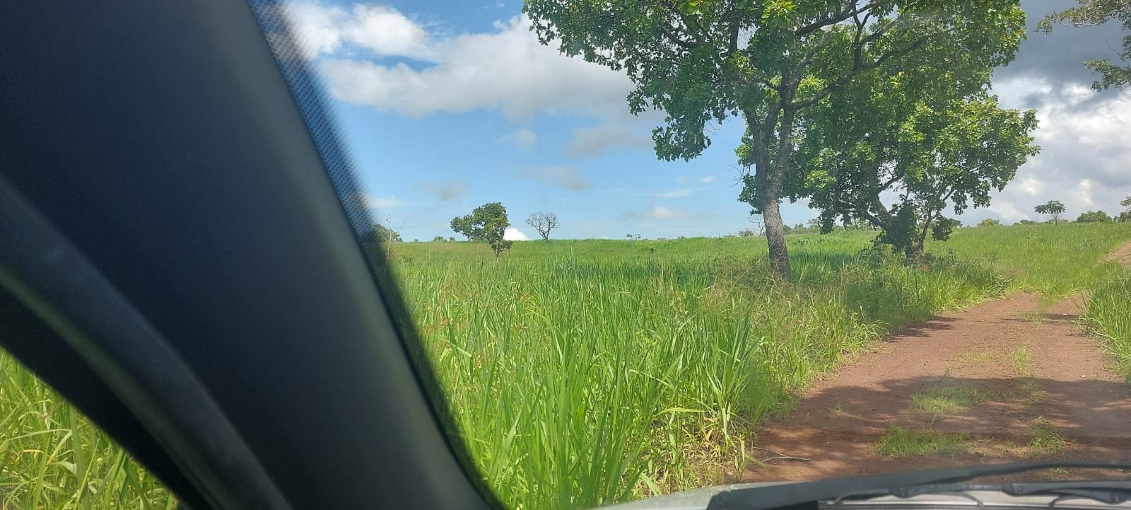 FAZENDA 109 ALQUEIRES 