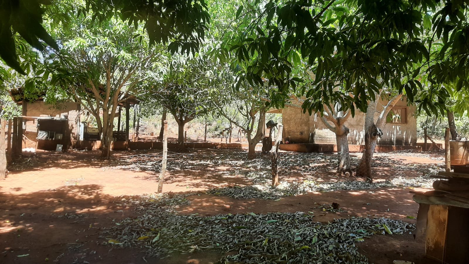 FAZENDA 109 ALQUEIRES 
