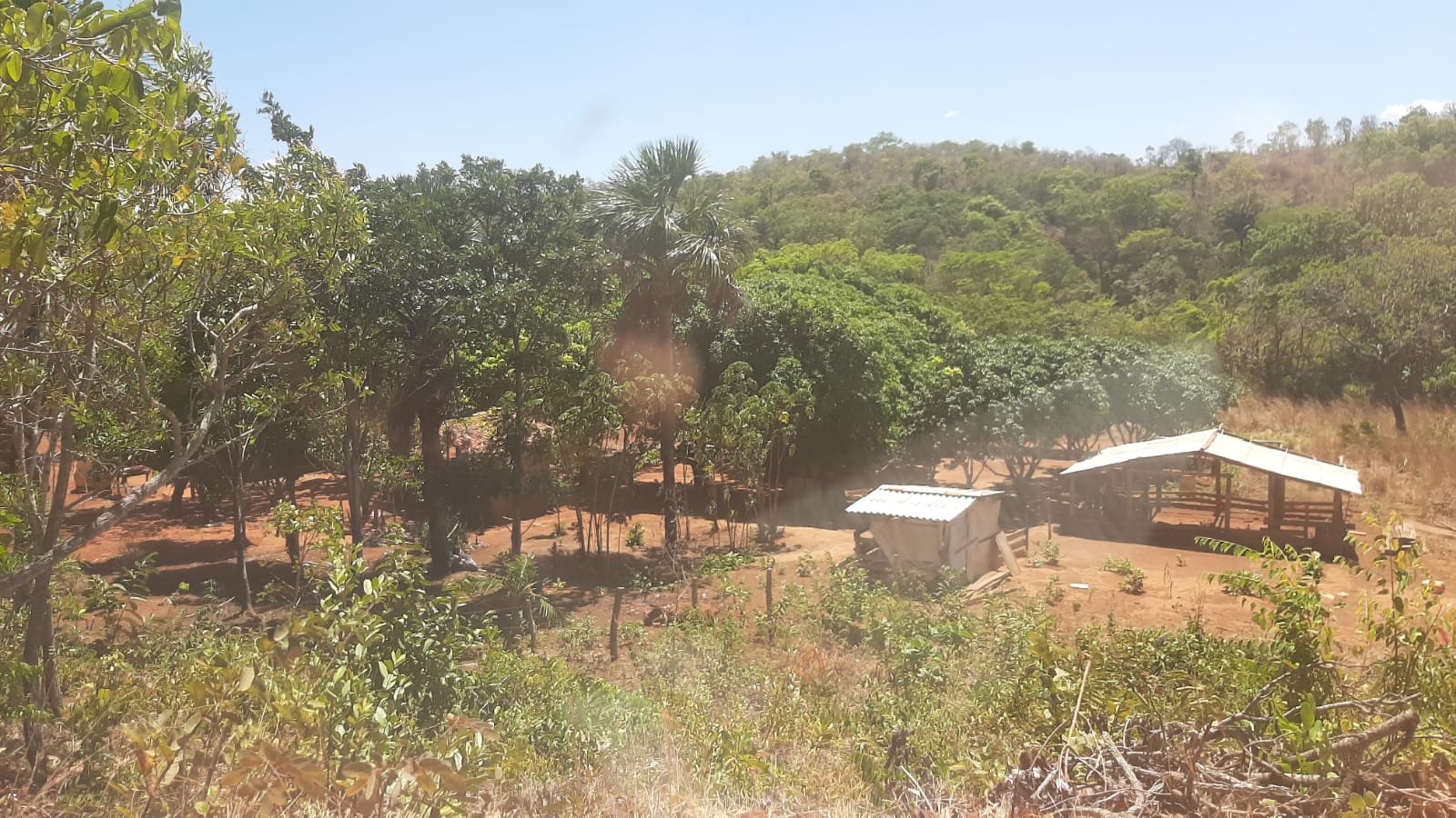 FAZENDA 109 ALQUEIRES 