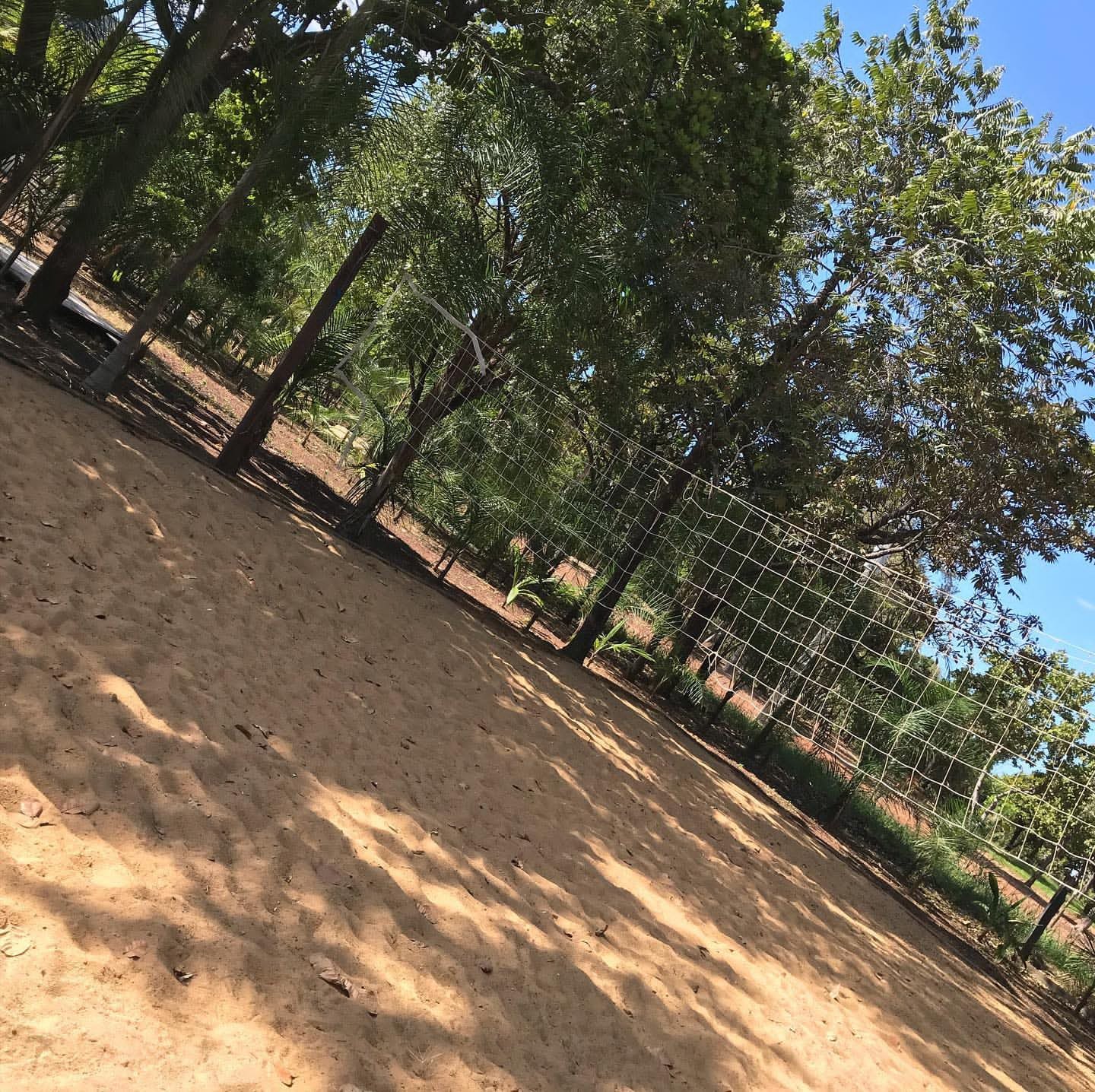 CHACARA A VENDA NA BEIRA DO RIO TOCANTINS SENTIDO LAGEADO